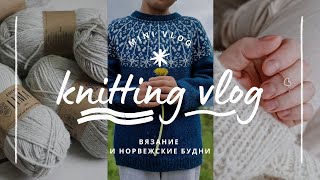 vlog 20/24 | жаккард меня не отпускает 🧶✨️ довязала свитер Shaman и начала новую лопапейсу 💛