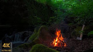 Campfire by the Enchanting Forest in 4K UltraHD | 3 Hours of Cozy Crackling Fire and Tickling Water