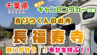 【キャンピングカー車中泊旅】一度は絶対訪れたい宝くじの高額当選が叶うと言われている長福寿寺でおばちゃん大興奮！！吉ゾウくんに出会えてテンションマックス！！