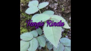 Tangis Rindu - cover