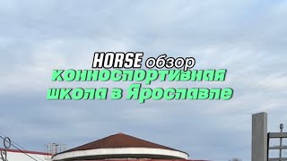 HORSE обзор | Ярославская конноспортивная школа