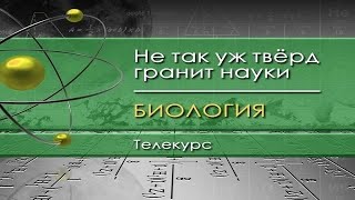 Биология для чайников. Лекция 11. Нервная система - система управления