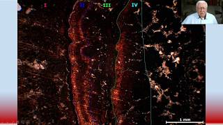 Wykład 30. Pacyfik. Konkrecje. Mineralogia, geochemia.