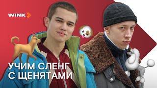 Актеры сериала «Слово пацана» учат сленг с щенками (2023) Wink