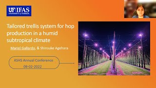 Trellis for Subtropical Hops | 2022 ASHS Presentation