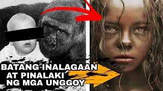 Batang Babae Inalagaan at Pinalaki ng Mga Unggoy sa kagubatan | Batang pinalaki ng mga hayop