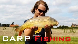 BEEP BEEP farm pond CARP fishing with chris