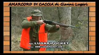 01  CINGHIALE  COMPILATION AMARCORD DI GIANNI LUGARI