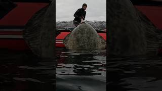 MONSTER HALIBUT #fishing #spearfishing #halibut