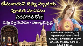 16 వ రోజు జేసునాధుని దివ్య హృదయ పూజిత మాసము పుణ్యాభివృధ్ధి #jesus #telugucatholic #heartofjesus