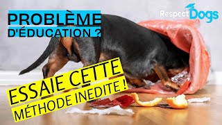 Mon chien n'obéit pas  😥 !  Essaye cette méthode peu connue ! 🧠