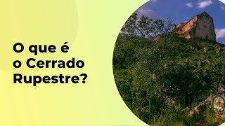 O QUE É O CERRADO RUPESTRE?