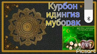 Курбон идингиз муборак бусин азизлар