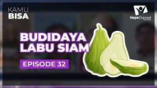 KAMU BISA "Budidaya Labu Siam" - Episode 32