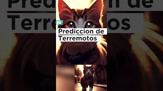 Gatos Predicen Terremotos #gatosdeyoutube