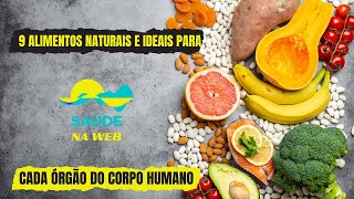 9 ALIMENTOS NATURAIS E IDEAIS PARA CADA ÓRGÃO DO CORPO HUMANO