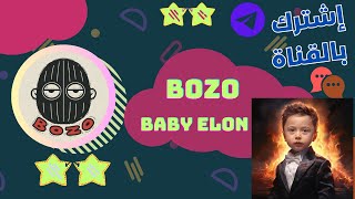 المثير لميم توكن في سوق الكريبتو Baby Elon / Bozo