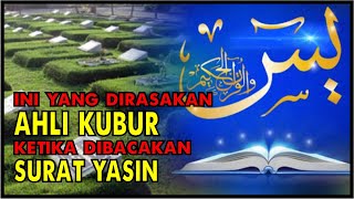 Kisah Pahala Surat Yasin di Hari Jumat yang Dirasakan Ahli Kubur | Sang Pencinta Ulama Channel