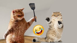 Funniest Animals 😄 New Funny Cats and Dogs Videos 2024 😹🐶 #467