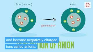 Which elements tend to lose electrons? What charge will they become?