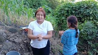 Tortias  de maíz nuevo q hicieron estas sipotas en la milpa 🌽🤠una delicia 😋