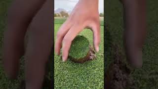 Best Artificial Grass Installation | Life Hack