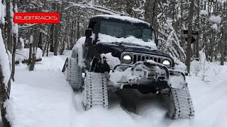 Jeep tracks in the forest. looking for Yeti.