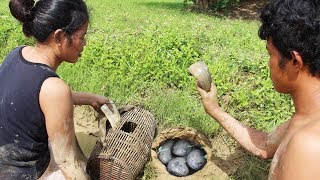 Wow catching a lot of fish and craps in muddy water and  Hole at Rice Field - Life Adventure