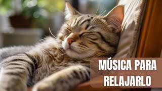 Música RELAJANTE para GATOS Inquietos EXCELENTE PARA RELAJAR Y DORMIR