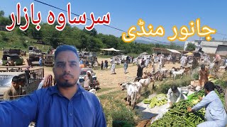 Sarsawa Bazaar Kotli Azad Kashmir | Janwar Mandi Sarsawa | Special Video For UK People