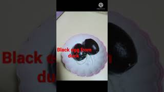 BLACK EGG FROM DUCK