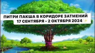 ПИТРИ ПАКША В КОРИДОРЕ ЗАТМЕНИЙ 17 СЕНТЯБРЯ-2 ОКТЯБРЯ 2024 !