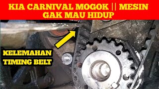 Kia CARNIVAL mesin mogok || timming belt  mbrodol