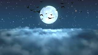 Sky Background Video Full Moon Copyright Free | Motion Graphic Clouds Black Bird #videoediting