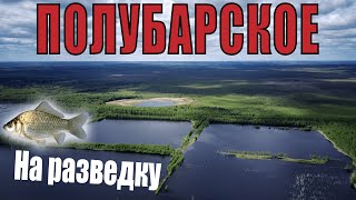 Полубарское, на разведку. Подмосковный карась.