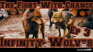 Infinity Wolves Episode 3 Season 1 : Other Wolves Attack Forest Pack