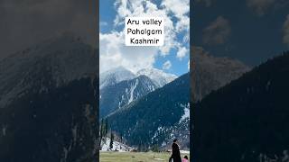 Aru valley pahalgam kashmir | jannat e kashmir #abcvalley #aruvalley