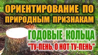 ОРИЕНТИРОВАНИЕ НА МЕСТНОСТИ ПО ГОДОВЫМ КОЛЬЦАМ ДЕРЕВЬЕВ. Как определить север