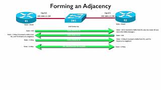 175 OSPF Neighbor Formation