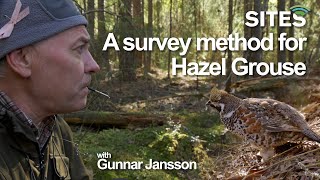 SITES "A Survey Method for Hazel Grouse" with Gunnar Jansson