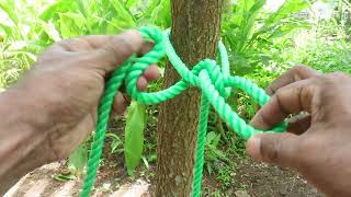 How to Tie a Rope Knot for Trees - Knot Contest Winner!