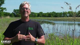 Habitat First - Wetland Improvements