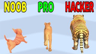 Cat Evolution - NOOB VS PRO VS HACKER