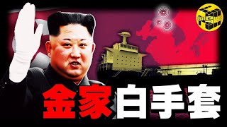 深扒：為什麼國際制裁奈何不了朝鮮？金家王朝屹立不倒的真正原因！走私、洗錢、跟聯合國叫板，誰在幫金家干“髒活”？[She's Xiaowu 小烏]