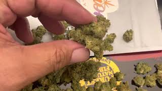 ALIEN OG STRAIN UNBOXING 👉🏾 SESSIONS SUPPLY CO