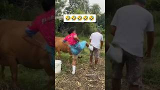 try not to laugh  pt  😂 #10 #funny #viral #shorts