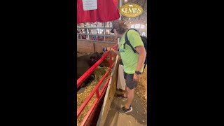 Are You A Kemps Cow?