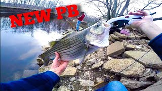 Spillway River Fishing with LIVE BAIT!!