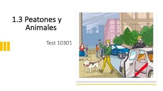 Teórica Permiso B Temas 1.3 y 1.5 Peatones, Animales y Prioridad