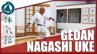 HOW TO: GEDAN NAGASHI UKE | Shōtōkan Karate Technique by Fiore Tartaglia